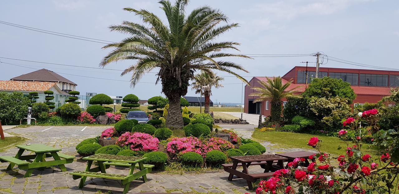 Jeju Again Olle Pension Luaran gambar