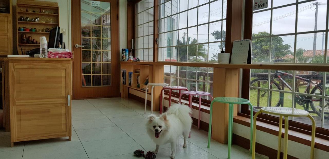 Jeju Again Olle Pension Luaran gambar